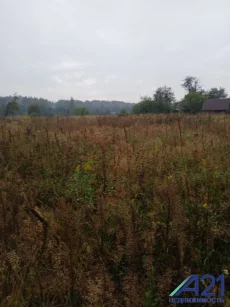 Дом в д. Борок в 17 км от Бобруйска