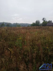 Дом в д. Борок в 17 км от Бобруйска