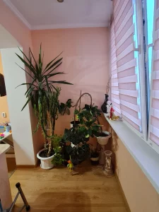 Однокомнатную квартиру