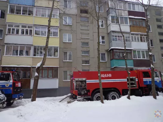 МЧС спасли пятерых из задымленного дома на Горелика