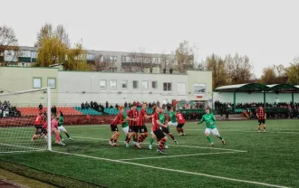 Чёрная серия бобруйчан продолжается: «Белшина» уступила дома «Гомелю» — разбор матча