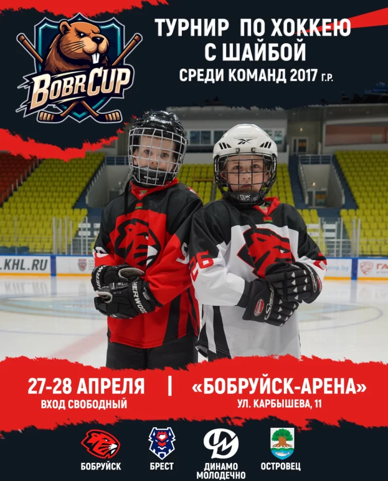 В Бобруйске пройдет турнир «Bobr Cup». Вход свободный