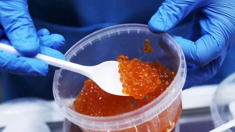 Что вошло в реестр опасной продукции на этой неделе – список товаров