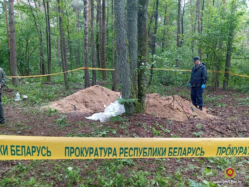 Одна могила на двоих – в Глусском районе подняты останки из захоронения времен войны