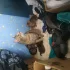 Котики