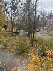 2-комнатная квартира в центре