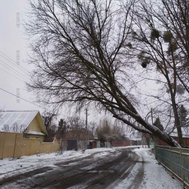 Зима