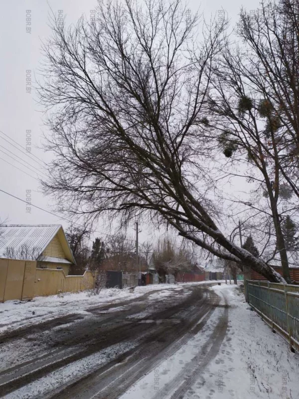 Зима