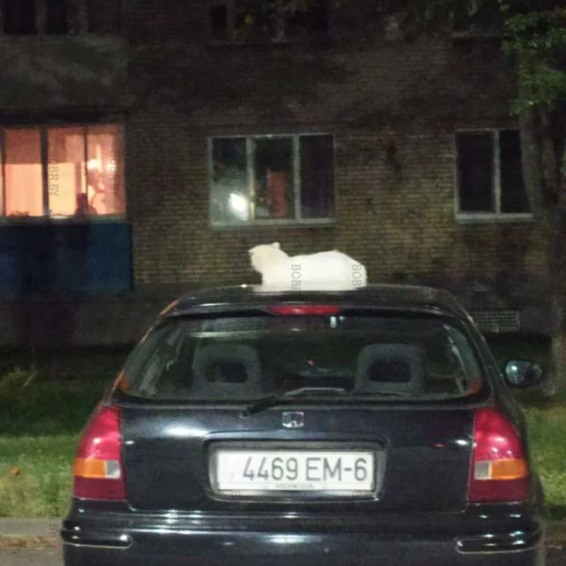 Чем не море?!)