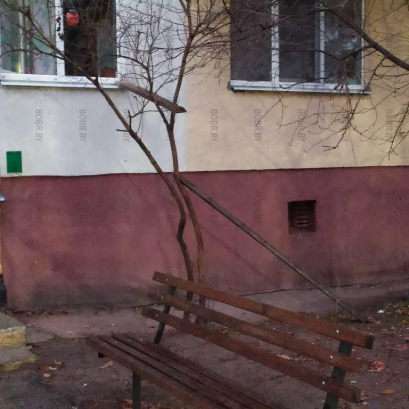 Палочки для того, чтоб котик домой возвращался по ним