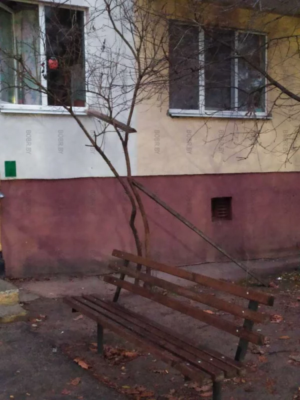 Палочки для того, чтоб котик домой возвращался по ним