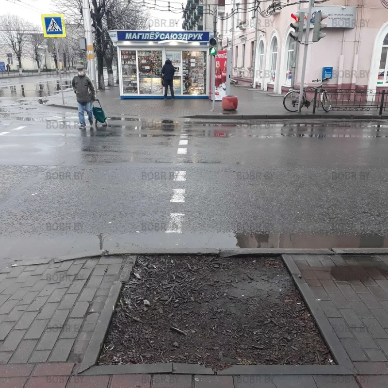 Зеленхоз, где дерево?