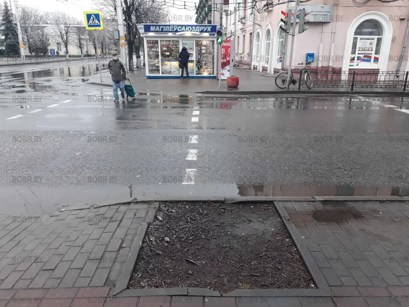 Зеленхоз, где дерево?