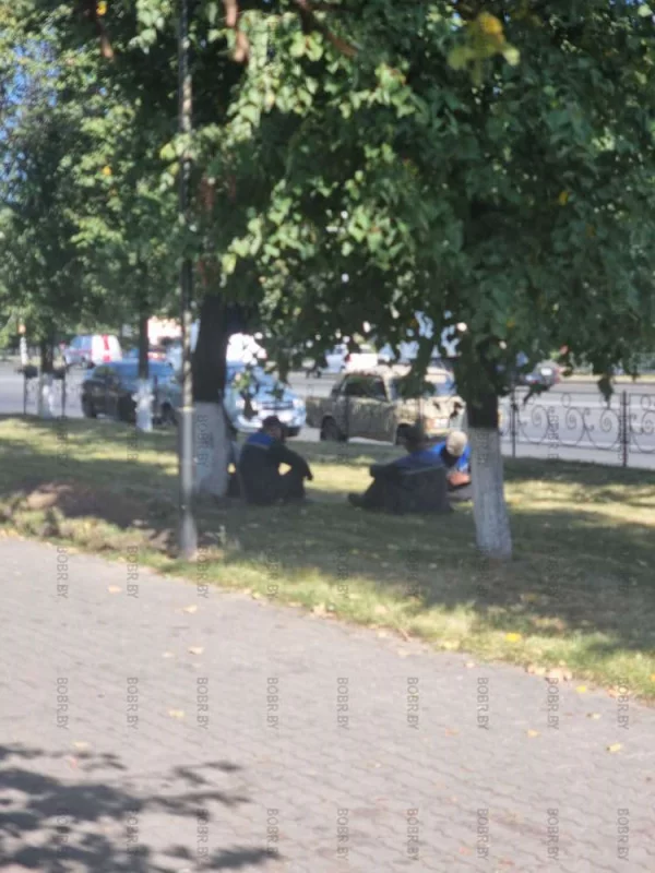 Работа не волк, в лес не убежит.