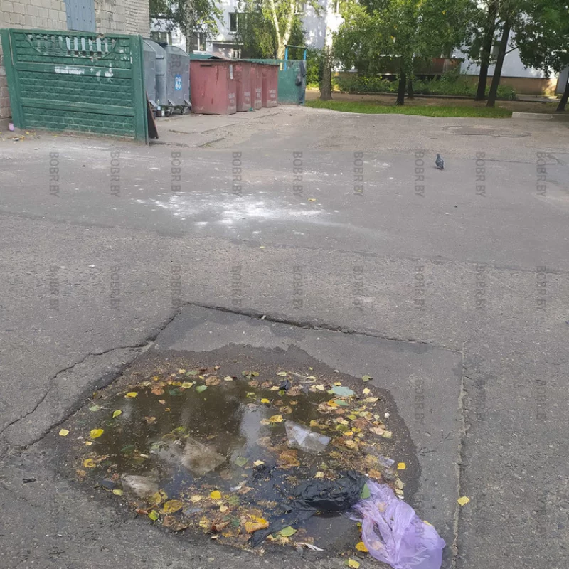 Лужа для помойных мешков