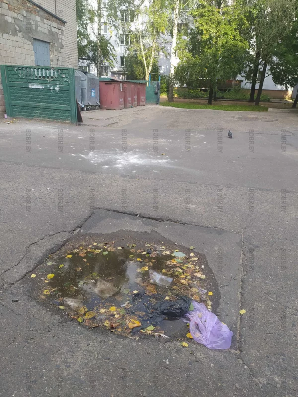 Лужа для помойных мешков