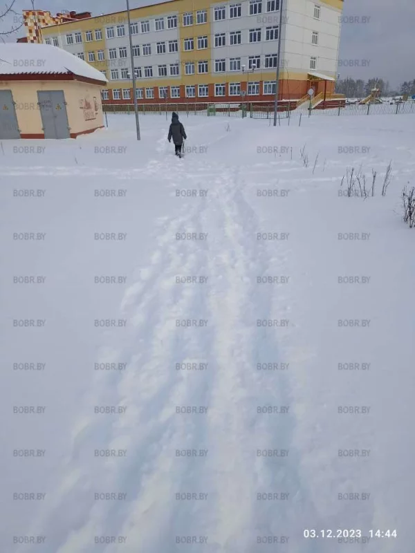 Вот так дети идут в 35 школу