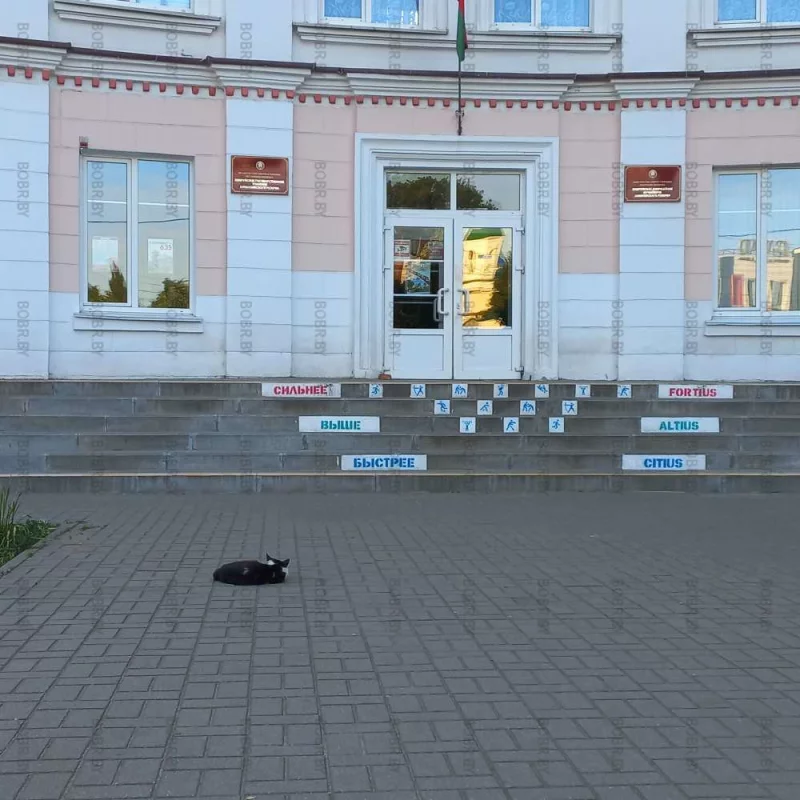 Не приняли