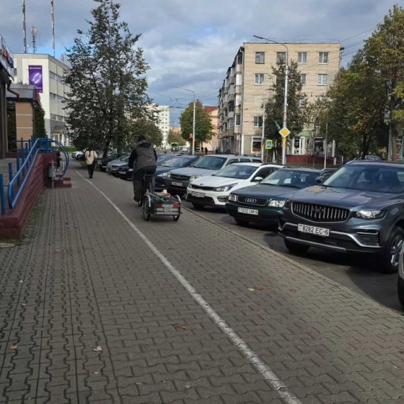 Электровелосипед с прицепом - это мощно