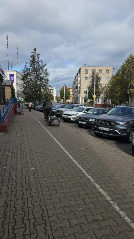 Электровелосипед с прицепом - это мощно