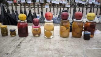 В Бобруйске проходит ярмарка «Дары осени»