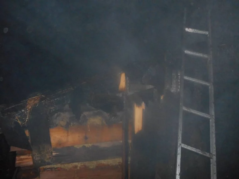 Пожар в деревне Большие Бортники