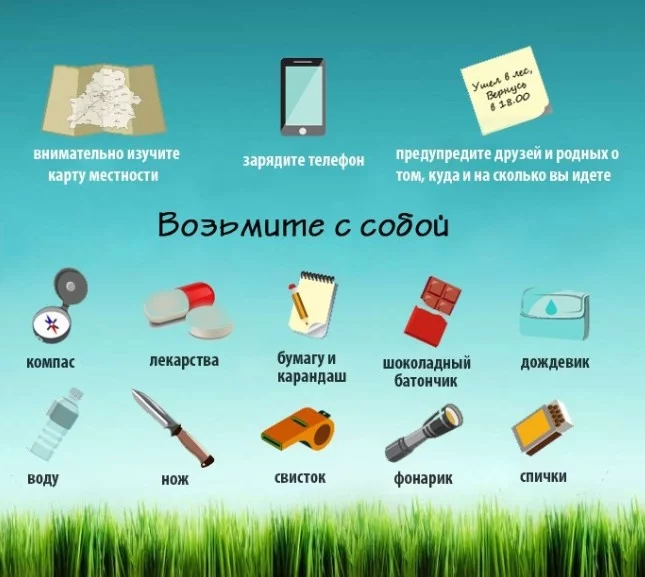 Как не заблудиться в лесу