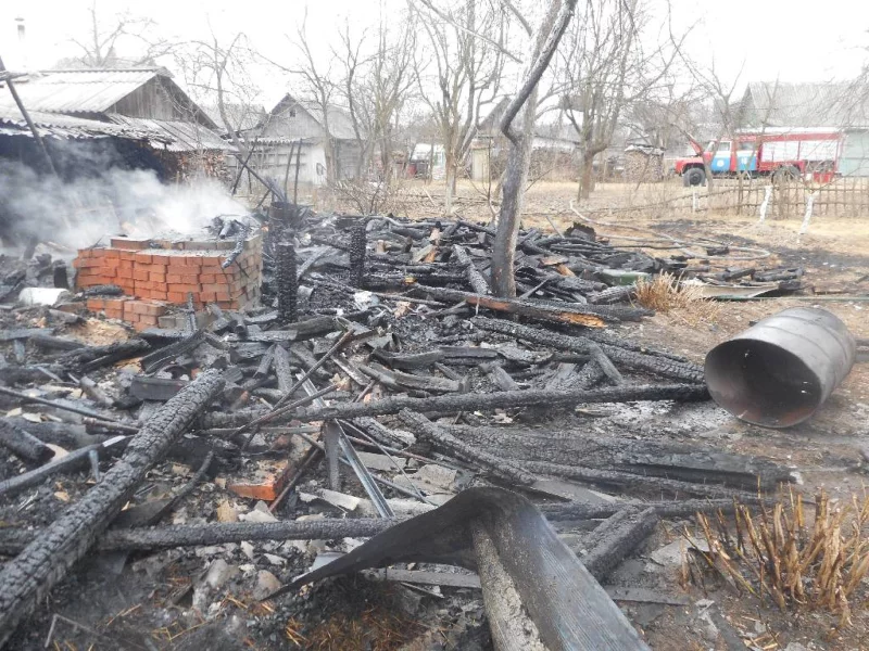 Пожар в садовом товариществе ««Мичуринец»