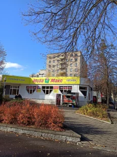 Торговое помещение по ул. 50 лет ВЛКСМ, 20а