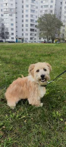 Особенный Джонни