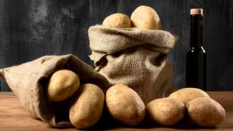 Ученый: причина падения потребления картофеля в Беларуси – лень