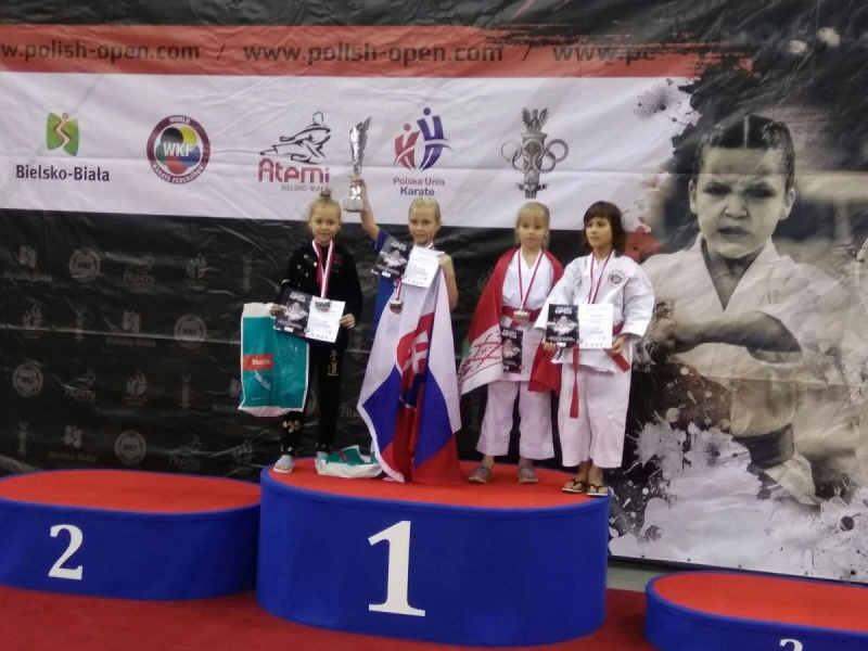 Две бронзы у бобруйских спортсменок