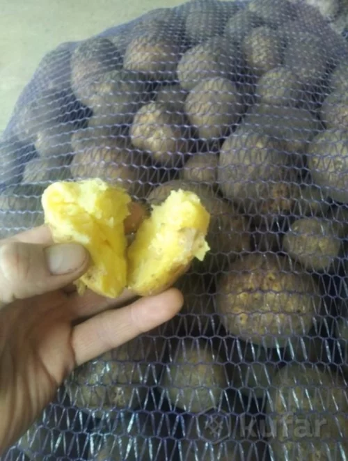 Картофель и другие овощи