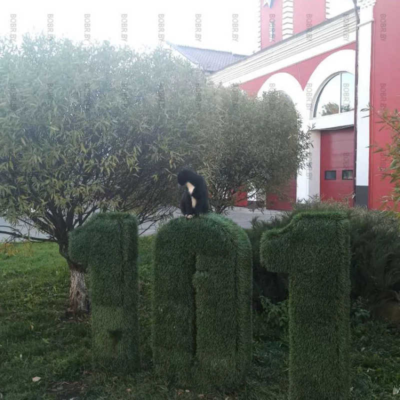 Котик стережет покой граждан