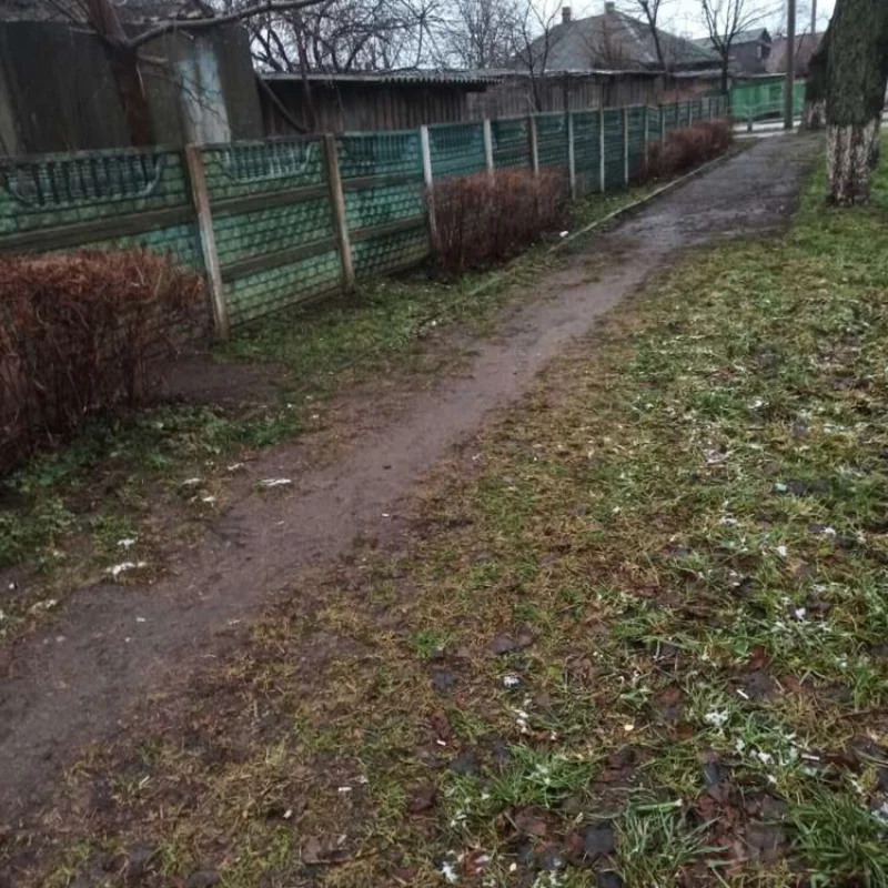 Пол дорожки нет. И так пойдет?