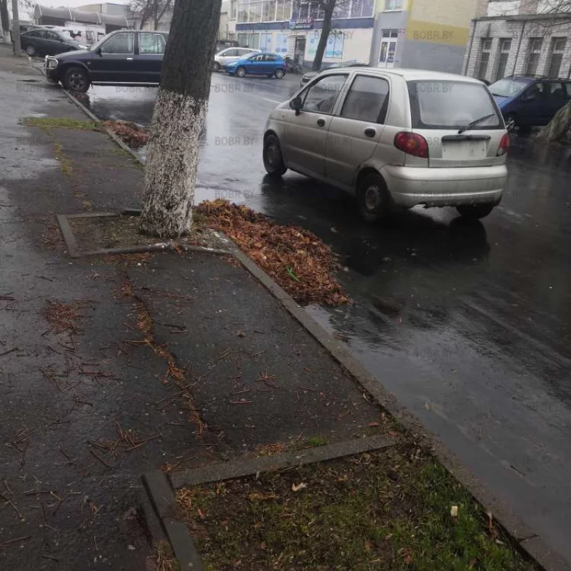 Почти на середине дороги