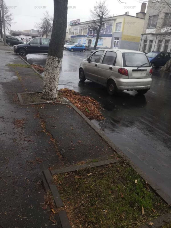Почти на середине дороги