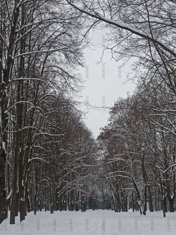 Тихая,безлюдная ,шикарная зима в парке