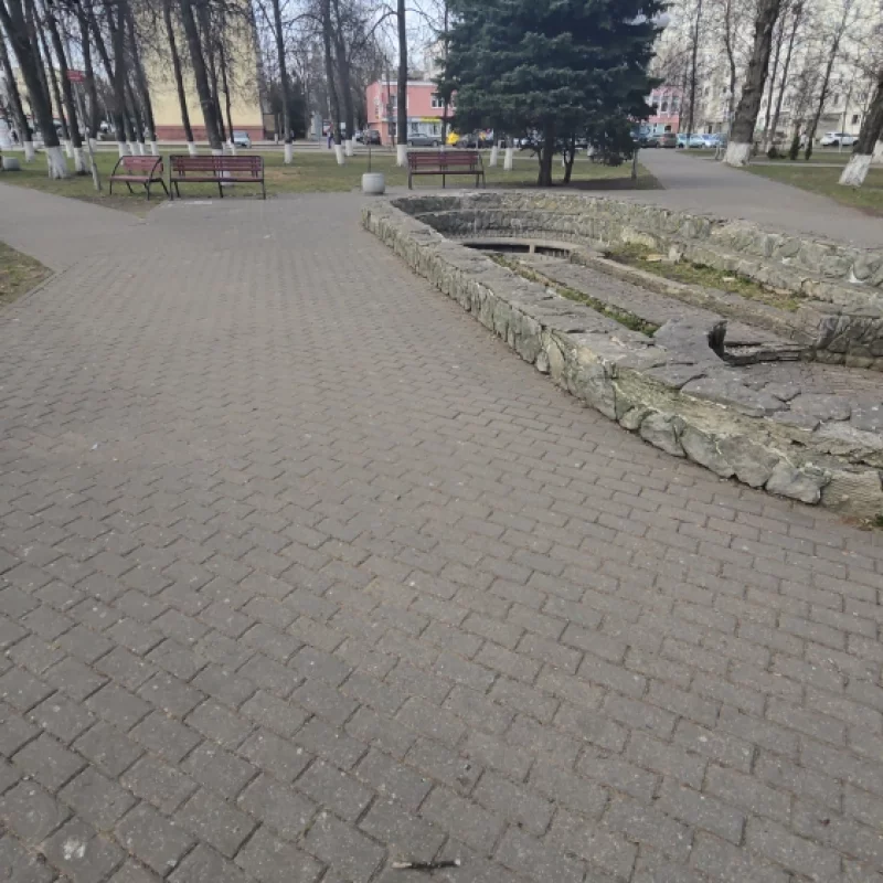 Куда подевались все голуби?