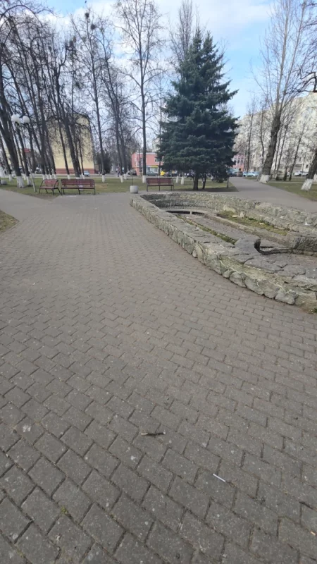 Куда подевались все голуби?