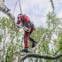 Распил дров. Спил деревьев