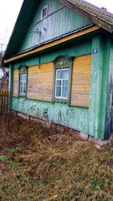 Дом в д.Вербки