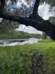 Дом в д. Евсеевичи (Глусский р-н)