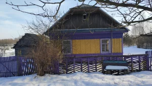 Дом в д. Ламбово