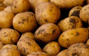 Домашний картофель с доставкой недорого