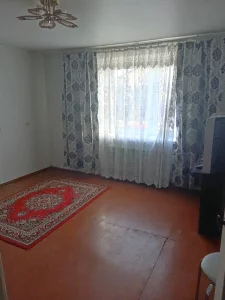 1-комнатная квартира рядом с гор.парком по ул. Московская, 100