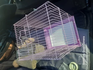 Клетку 38*28*22 см в отличном состоянии. 50 р. Или обменяю