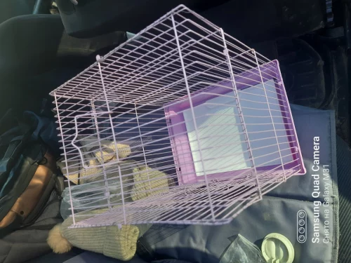 Клетку 38*28*22 см в отличном состоянии. 50 р. Или обменяю