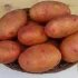 Домашний картофель.Доставка