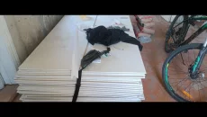 Продам Гипсокартон новый
